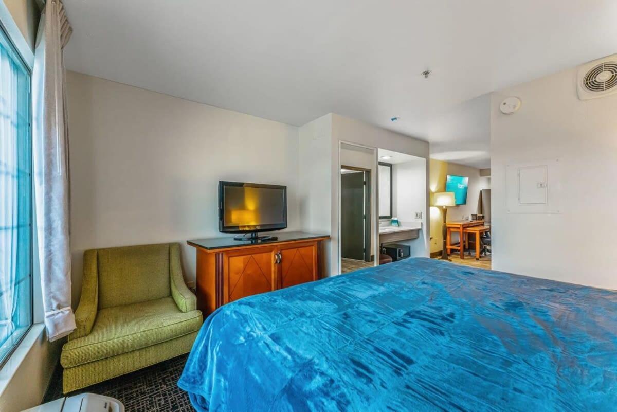 Tempe Studio Apartment 2 Ngoại thất bức ảnh